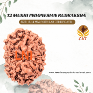 12 Mukhi Indonesian Rudraksha Size: 11-13 mm  (With Lab Certificate)