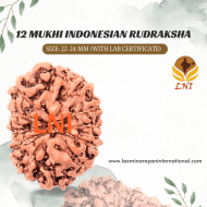 12 Mukhi Indonesian Rudraksha Size: 21-23 mm (With Lab Certificate)