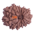 13 Mukhi Rudraksha Size: 19.78mm (With Lab Certificate)