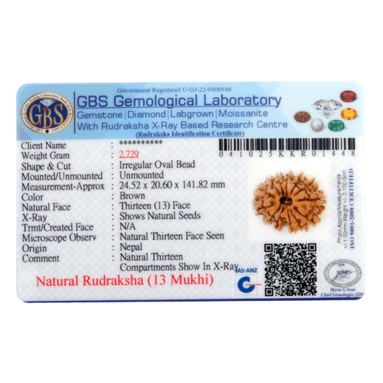 13 Mukhi Rudraksha Size: 24.52 mm (With Lab Certificate) 13 Mukhi Rudraksha, Higher Rudraksha, 13 Mukhi Rudraksha from Nepal image