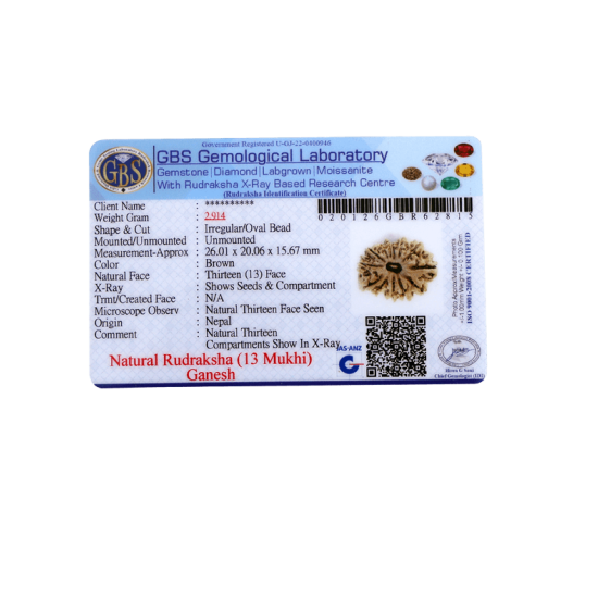13 Mukhi Ganesha Rudraksha Size 28.86 mm (With Lab Certificate) Higher Rudraksha, Ganesha Rudraksha image