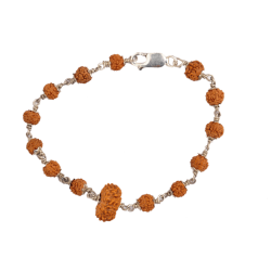 13 Mukhi Rudraksha Bracelet (With Lab Certificate)