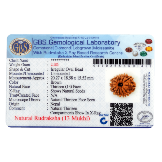 13 Mukhi Rudraksha Size: 20.27mm (With Lab Certificate) 13 Mukhi Rudraksha, Higher Rudraksha, 13 Mukhi Rudraksha from Nepal image