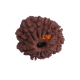 13 Mukhi Rudraksha Size: 21.52mm (With Lab Certificate) image