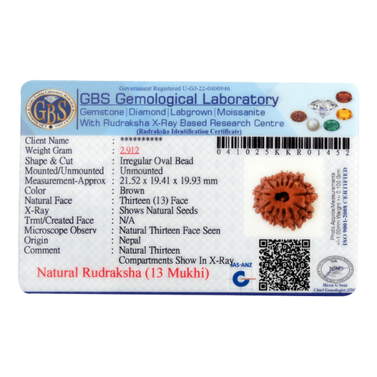 13 Mukhi Rudraksha Size: 21.52mm (With Lab Certificate) image