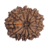 13 Mukhi Rudraksha Size: 23.12 mm (With Lab Certificate)