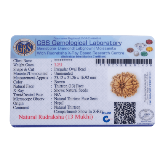 13 Mukhi Rudraksha Size: 25.07 mm (With Lab Certificate) 13 Mukhi Rudraksha, Higher Rudraksha, 13 Mukhi Rudraksha from Nepal image