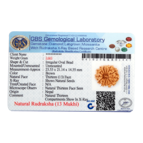 13 Mukhi Rudraksha Size: 25.32 mm (With Lab Certificate) 13 Mukhi Rudraksha, Higher Rudraksha, 13 Mukhi Rudraksha from Nepal image