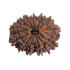 13 Mukhi Rudraksha Size: 24.52 mm (With Lab Certificate)