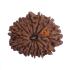 13 Mukhi Rudraksha Size: 24.52 mm (With Lab Certificate)