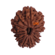 13 Mukhi Rudraksha Size: 25.10 mm (With Lab Certificate) image