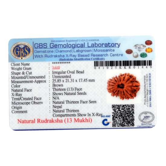 13 Mukhi Rudraksha Size: 25.10 mm (With Lab Certificate) image