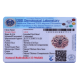 13 Mukhi Rudraksha Size: 26.35mm (Certified)