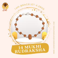 14 Mukhi Rudraksha Bracelet (With Lab Certificate)