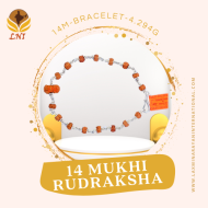 14 Mukhi Rudraksha Bracelet (With Lab Certificate)