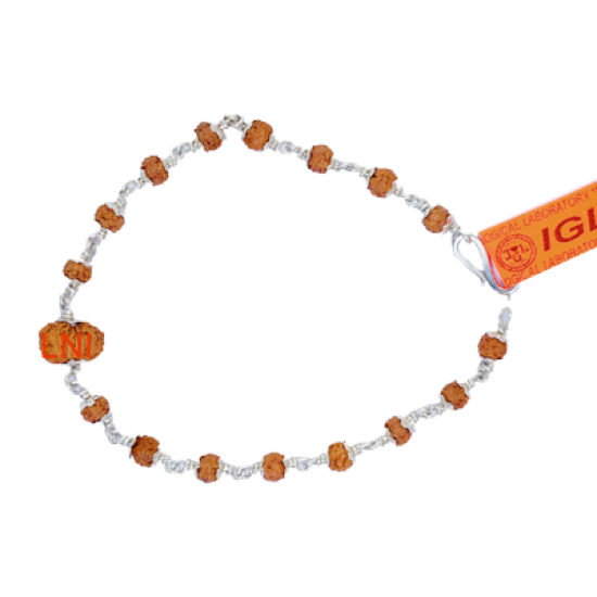 14 Mukhi Rudraksha Bracelet (With Lab Certificate)