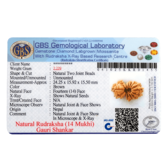 14 Mukhi Gauri shankar Rudraksha Size 33.60 mm (Certified) Buy 14 Mukhi rudraksha online, Higher Rudraksha, 14 Mukhi Rudraksha from Nepal image