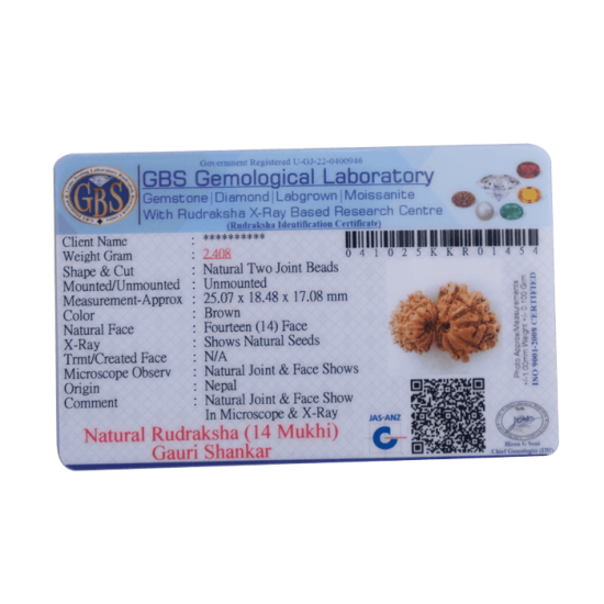 14 Mukhi Rudraksha Size: 21.52 mm (With Lab Certificate) image