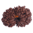 14 Mukhi Gauri Shankar Rudraksha Size: 29.02 mm (With Lab Certificate)