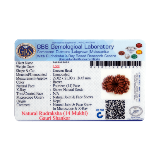 14 Mukhi Rudraksha Size: 22.13 mm (With Lab Certificate) Buy 14 Mukhi rudraksha online, Higher Rudraksha, 14 Mukhi Rudraksha from Nepal image