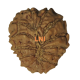 14 Mukhi Rudraksha Size: 22.75 mm (With Lab Certificate) Buy 14 Mukhi rudraksha online, Higher Rudraksha, 14 Mukhi Rudraksha from Nepal image