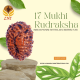 17 Mukhi Rudraksha Size: 18.92 mm (With Lab Certificate)