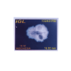 18 Mukhi Rudraksha Size: 16.55 mm (With Lab Certificate) image