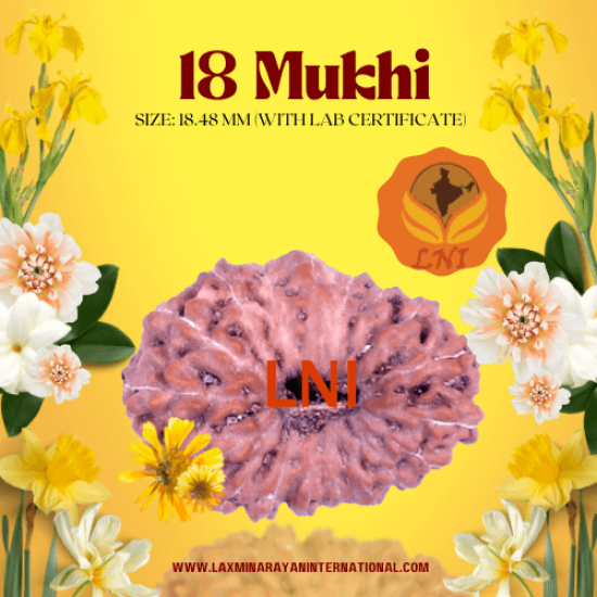 18 Mukhi Rudraksha Size: 18.48 mm (With Lab Certificate)