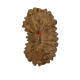 19 Mukhi Rudraksha Size 12.77 mm