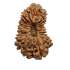 19 Mukhi Rudraksha Size 17.44 mm (With Lab Certificate)