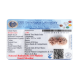 19 Mukhi Rudraksha Size 24.17 mm (With Lab Certificate) Higher Rudraksha, 19 Mukhi Rudraksha, 19 Mukhi Rudraksha from Indonesia image