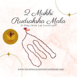 2 Mukhi Rudraksha Mala 15.594g (With Lab Certificate)