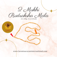 2 Mukhi Rudraksha Mala 22.218g (Certified)