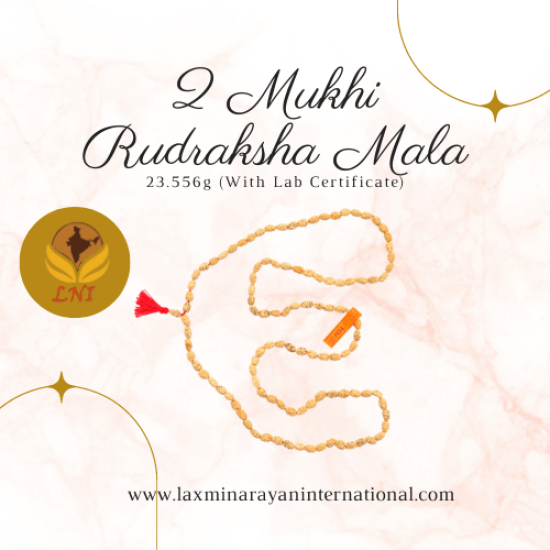 2 Mukhi Rudraksha Mala 23.556g (With Lab Certificate)