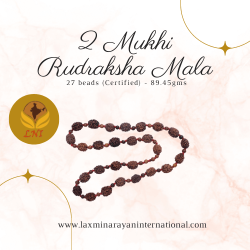 2 Mukhi Rudraksha Mala 27 beads (Certified) - 89.45gms