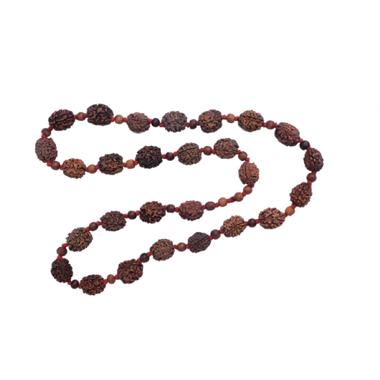 2 Mukhi Rudraksha Mala 27 beads (Certified) - 89.45gms
