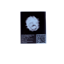 2 Mukhi Rudraksha Size 15.35 mm (Certified)(2seeds)