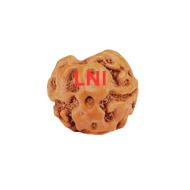 2 Mukhi Rudraksha Size 13-16 mm (Certified)