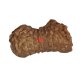 21 Mukhi Rudraksha Size: 13.05mm (With Lab Certificate) Higher Rudraksha, 21 Mukhi from Indonesia image