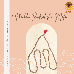 3 Mukhi Rudraksha Mala  (With Lab Certificate)