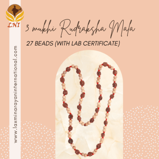 3 Mukhi Rudraksha Mala 27 Beads (With Lab Certificate)