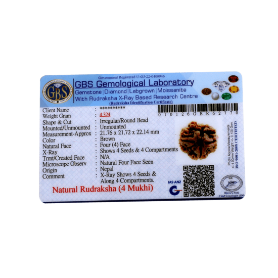 4 Mukhi Rudraksha Size: 22.11mm (Certified) 4 Mukhi Rudraksha, 4 Mukhi Rudraksha from Nepal image