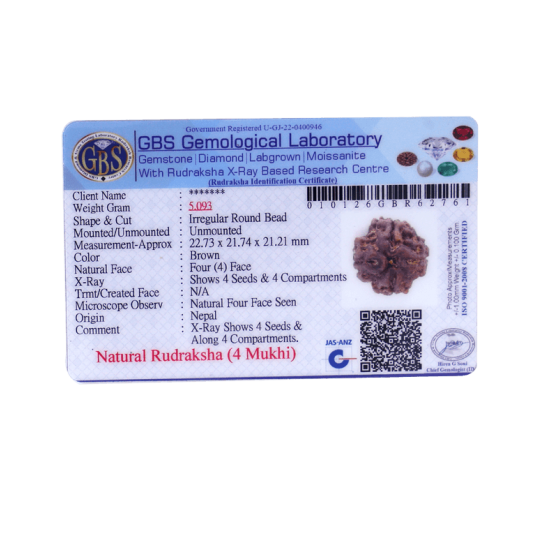 4 Mukhi Rudraksha Size: 22.66 mm (Certified)(4seeds in X-ray) Rudraksha, 4 Mukhi Rudraksha, 4 Mukhi Rudraksha from Nepal image