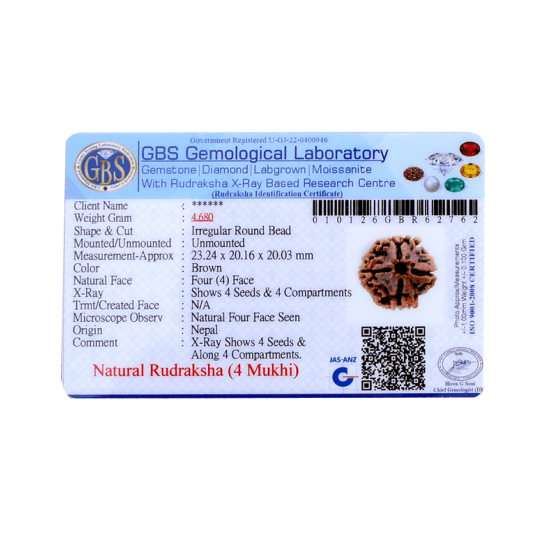 4 Mukhi Rudraksha Size: 23.15 mm (Certified)(4 seeds in X-ray) Rudraksha, 4 Mukhi Rudraksha, 4 Mukhi Rudraksha from Nepal image