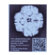 4 Mukhi Rudraksha Size: 27.01 mm (Certified) Rudraksha, 4 Mukhi Rudraksha, 4 Mukhi Rudraksha from Nepal image