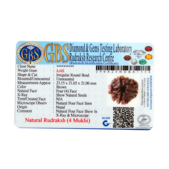 4 Mukhi Rudraksha Size: 24.00mm (Certified) Rudraksha, 4 Mukhi Rudraksha, 4 Mukhi Rudraksha from Nepal image