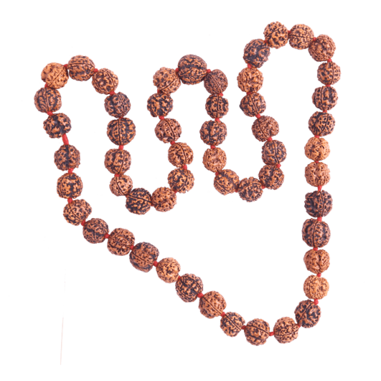 4 Mukhi Rudraksha Mala 54 beads 190.36gms  (Certified)