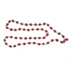 4 Mukhi Rudraksha Mala 51 beads (Certified) 27.16gms