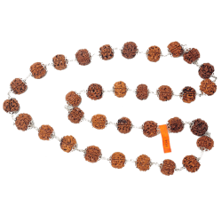 5 Mukhi Rudraksha Mala 33 beads (Certified)
