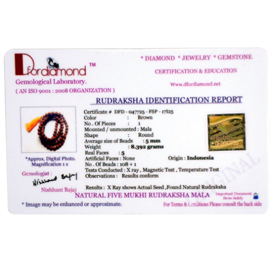5 Mukhi Rudraksha Mala Bead Size 6mm (With Lab Certificate)